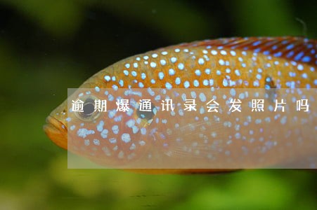 逾期爆通讯录会发照片吗 逾期爆通讯录会发照片吗