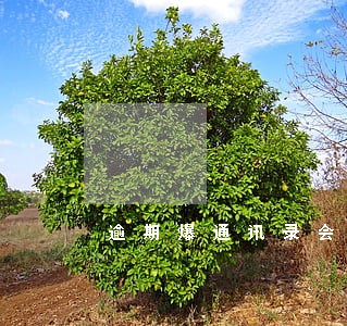 逾期爆通讯录会怎么说 逾期爆通讯录会怎么说