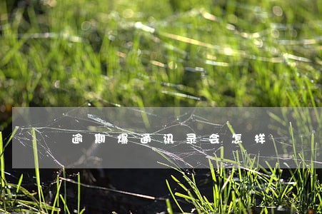 逾期爆通讯录会怎样 逾期爆通讯录会怎样