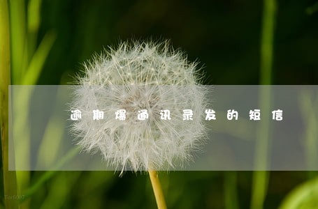 逾期爆通讯录发的短信 逾期爆通讯录发的短信