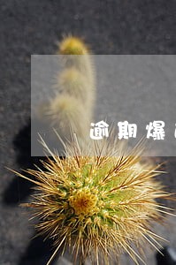 逾期爆通讯录怎么和朋友解释 逾期爆通讯录怎么和朋友解释