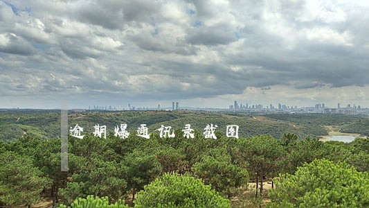 逾期爆通讯录截图