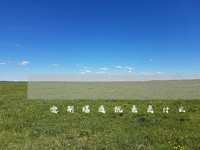 逾期爆通讯录是什么 逾期爆通讯录是什么