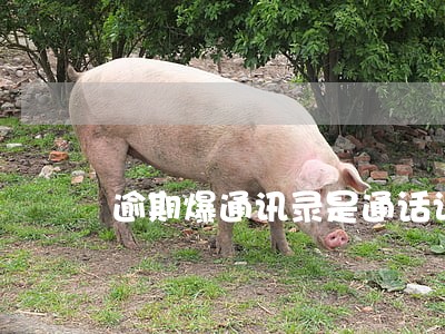 逾期爆通讯录是通话记录吗 逾期爆通讯录是通话记录吗
