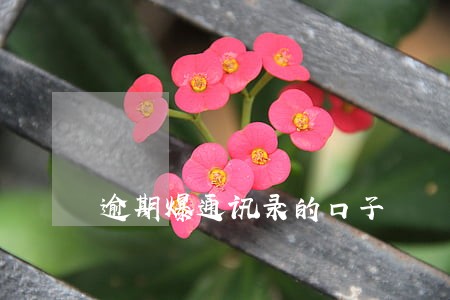 逾期爆通讯录的口子 逾期爆通讯录的口子