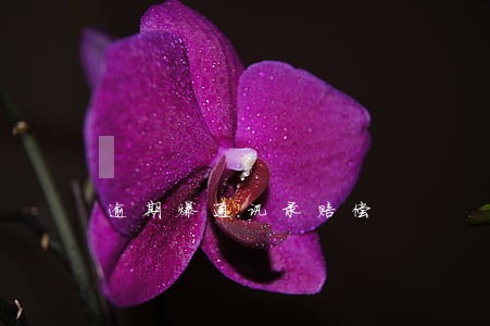 逾期爆通讯录赔偿 逾期爆通讯录赔偿