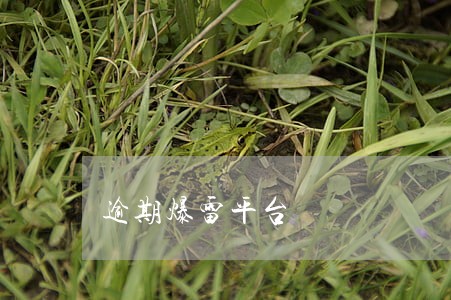 逾期爆雷平台 逾期爆雷平台