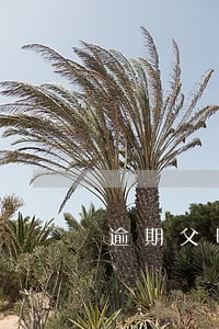 逾期父母怎么才能不知道 逾期父母怎么才能不知道