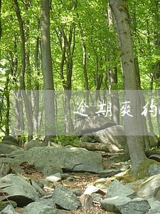 逾期爽约客户 逾期爽约客户