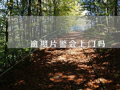 逾期片警会上门吗 逾期片警会上门吗