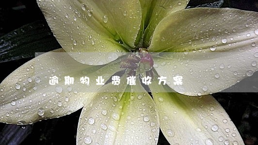 逾期物业费催收方案 逾期物业费催收方案