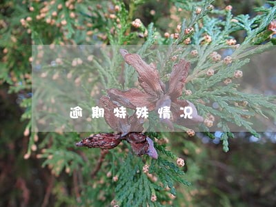 逾期特殊情况 逾期特殊情况