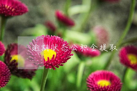 逾期状态公积金提取 逾期状态公积金提取