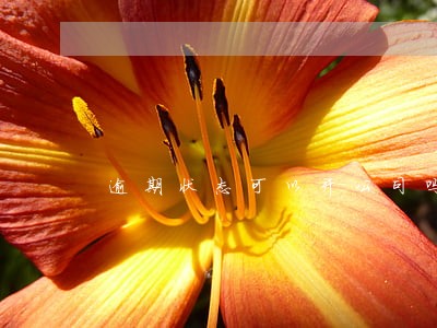 逾期状态可以开公司吗 逾期状态可以开公司吗