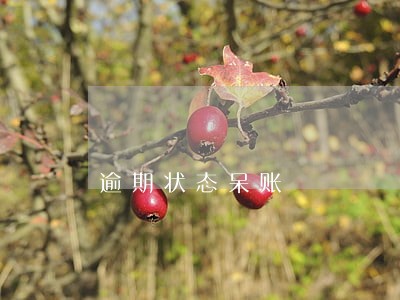 逾期状态呆账 逾期状态呆账