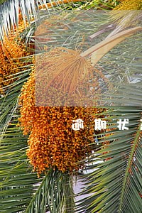 逾期状态哪里能借一万 逾期状态哪里能借一万