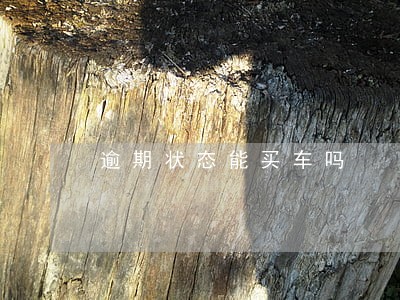 逾期状态能买车吗 逾期状态能买车吗