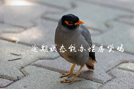 逾期状态能办理房贷吗 逾期状态能办理房贷吗