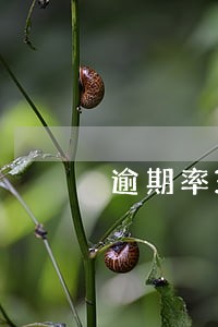 逾期率30怎么计算 逾期率30怎么计算