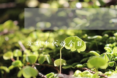 逾期率代偿金额 逾期率代偿金额