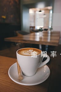 逾期率公司 逾期率公司