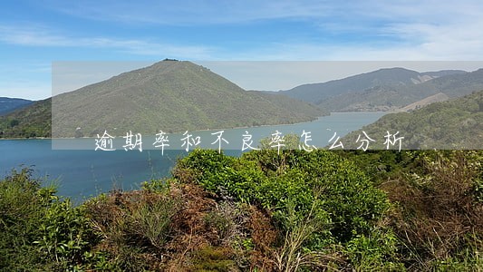 逾期率和不良率怎么分析 逾期率和不良率怎么分析