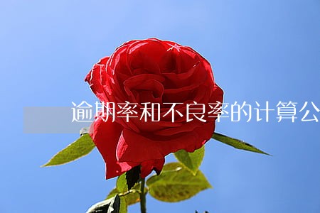 逾期率和不良率的计算公式 逾期率和不良率的计算公式