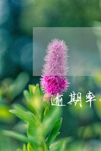 逾期率和不良率的计算公式官方 逾期率和不良率的计算公式官方