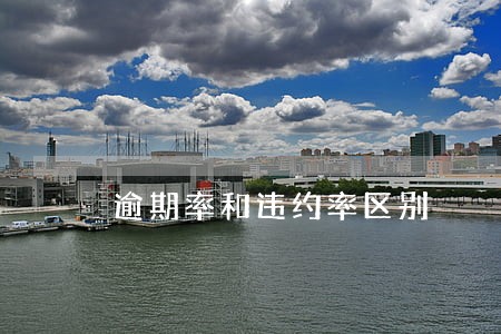 逾期率和违约率区别 逾期率和违约率区别