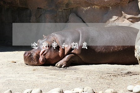 逾期率和额度 逾期率和额度