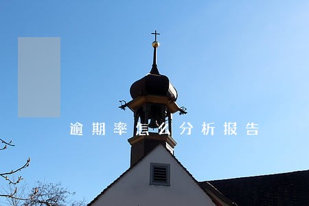 逾期率怎么分析报告 逾期率怎么分析报告