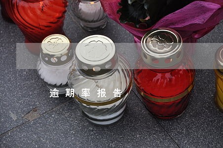 逾期率报告 逾期率报告