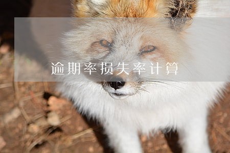 逾期率损失率计算 逾期率损失率计算