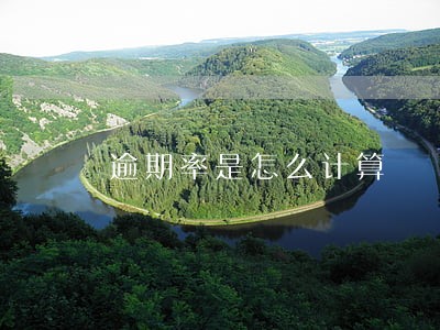 逾期率是怎么计算