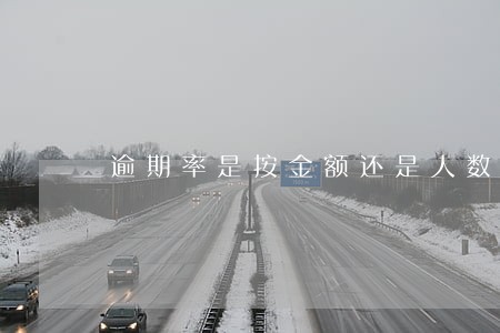 逾期率是按金额还是人数 逾期率是按金额还是人数
