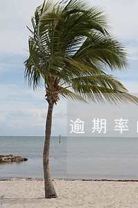 逾期率的两种计算方式 逾期率的两种计算方式
