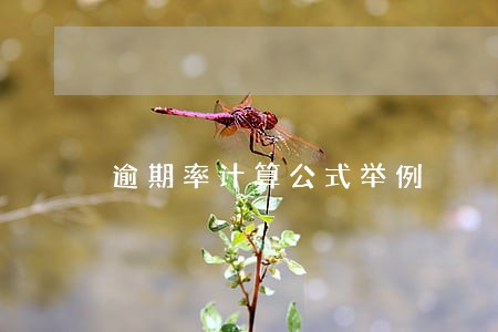 逾期率计算公式举例 逾期率计算公式举例