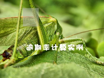 逾期率计算实例