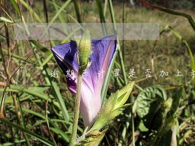 逾期率计算是否加上利息 逾期率计算是否加上利息