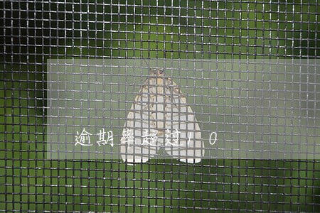 逾期率超过10
