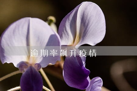 逾期率飙升疫情 逾期率飙升疫情