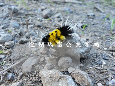 逾期玖富会坐牢吗 逾期玖富会坐牢吗
