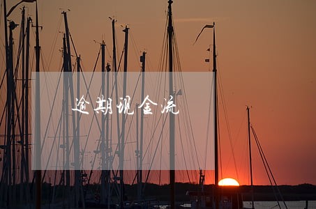 逾期现金流 逾期现金流