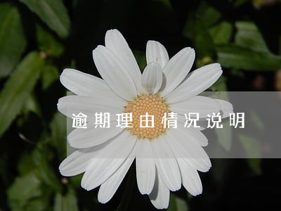 逾期理由情况说明 逾期理由情况说明