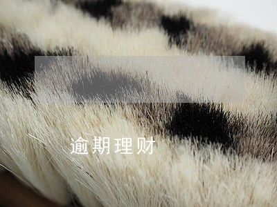 逾期理财