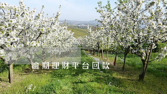 逾期理财平台回款 逾期理财平台回款