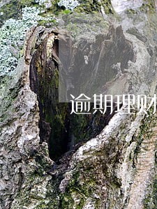 逾期理财按多少利率计算