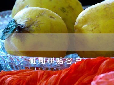 逾期理赔客户 逾期理赔客户