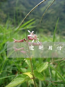 逾期用什么号码打联系人 逾期用什么号码打联系人