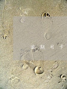逾期用卡显示卡片异常 逾期用卡显示卡片异常